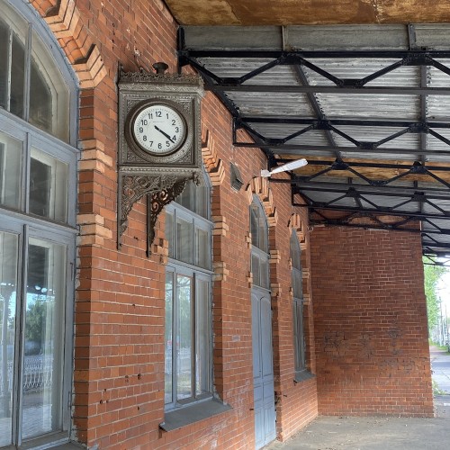 В гости к северным оленям + прогулка по Шуваловскому парку