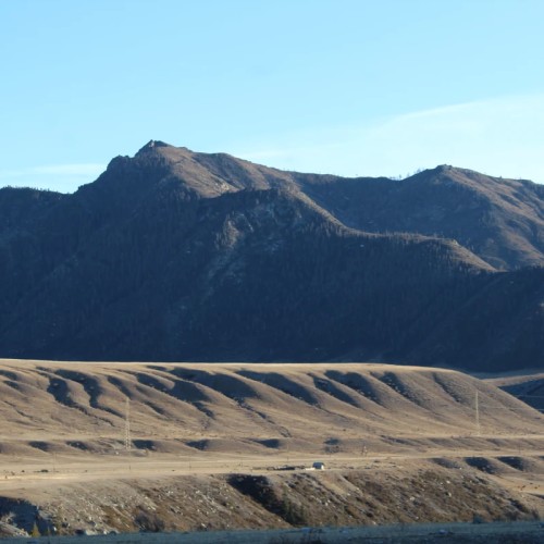 По Чуйскому тракту с алтайским гидом-музыкантом