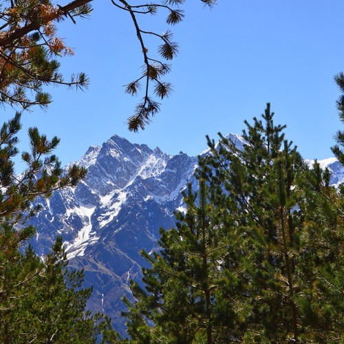 Треккинг в Цейском ущелье налегке с проживанием в гостинице (всё включено)