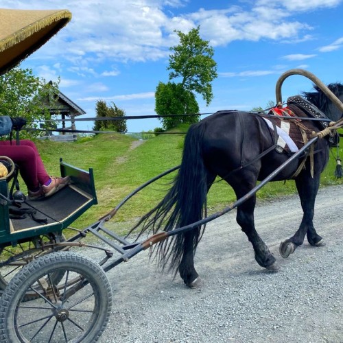 В Карелию с семьёй: Кижи, Петрозаводск и знакомство с культурой и фольклором