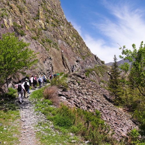 Майские на Алтае в сезон цветения маральника с ежедневными прогулками (всё включено)