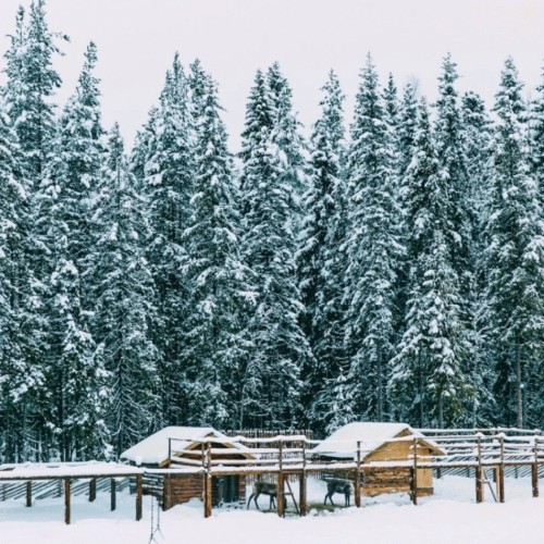 10 чудес Карелии за 2 дня