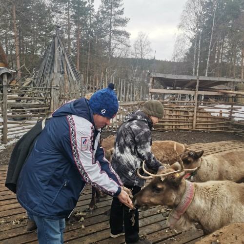 В гости к настоящей семье саами: поездка из Мурманска