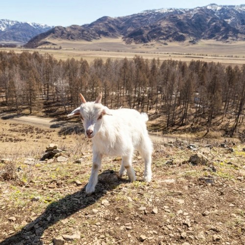 Священная Каракольская долина