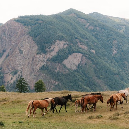 Комфорт-тур на Алтай с фотографом: полёт на вертолёте, парение и главные места (всё включено)
