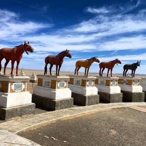 От пустыни до оазисов: большое путешествие по Монголии и Улан-Удэ