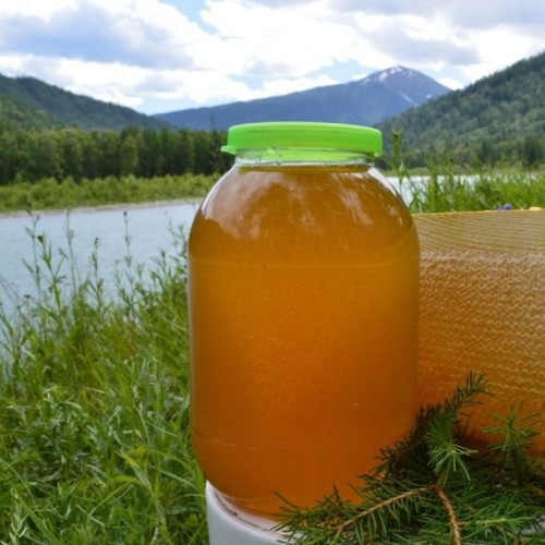 Золотое кольцо Алтая: Чуйский тракт, Телецкое озеро и Чулышманская долина в мини-группе