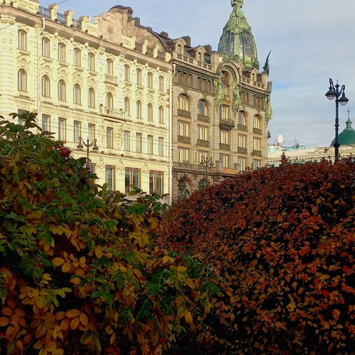 Парадный Петербург шаг за шагом