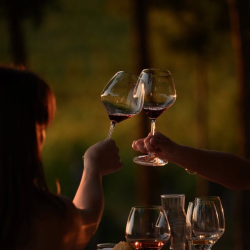 Французский шик в Краснодарском крае: по роскошным винодельням с дегустациями (индивидуально)