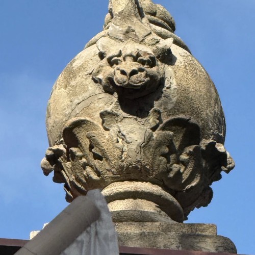 По Васильевскому с островитянином!