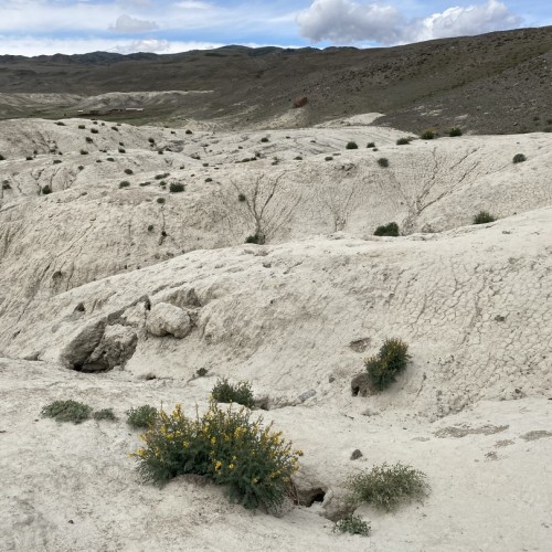 Топовые и необычные места Алтая в мини-группе: Чуйский тракт, озеро Джангыскёль и лёгкий треккинг