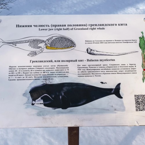 Южно-Сахалинск: каторжная Владимировка, японская Тоёхара и современный город