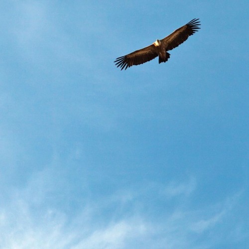 Выше облаков на 3760 метров на гору Шалбуздаг: треккинг налегке с проживанием в гостинице