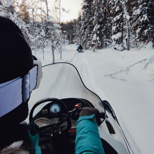 И уносит меня, и уносит меня в звенящий снежный Алтай (мини-группа)