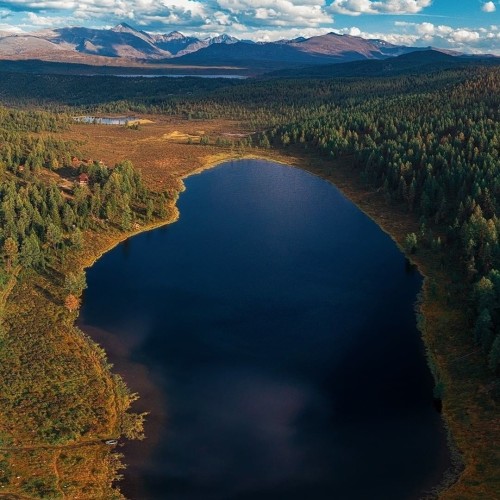 Лиловый наряд Алтая: путешествие по знаковым локациям и цветение маральника
