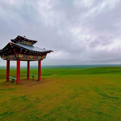 На выходные в Калмыкию: Элиста и цветущие степи