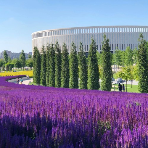 Мини-отпуск в Краснодаре с поездками в горы, к морю и на винодельню