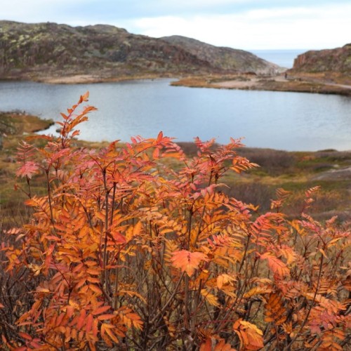 Териберка, Огни Имандры и столица Русской Арктики с проживанием в купольном отеле (мини-группа)