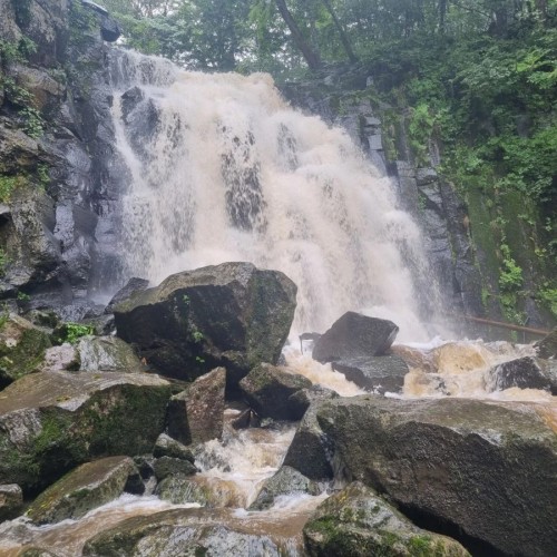 Приморский сафари-парк, водопады, бухты и мысы