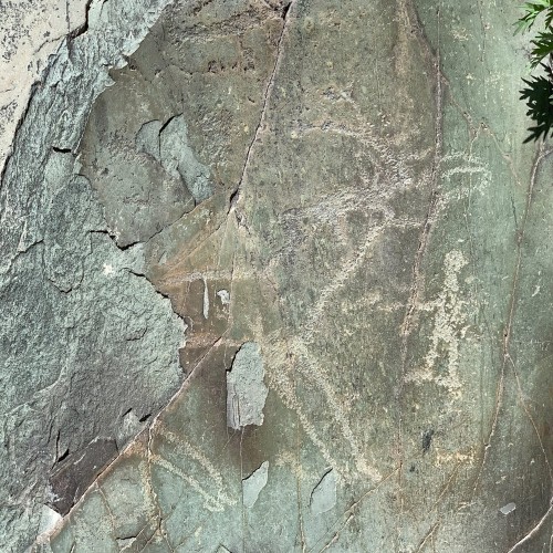 Сердце Алтая: легенды и тайны Чемальского тракта