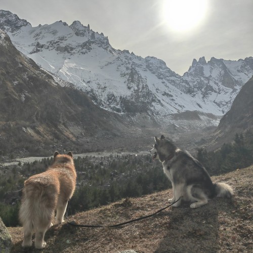 Если с другом вышел в путь: треккинги в Архызе в компании маламута (в мини-группе)