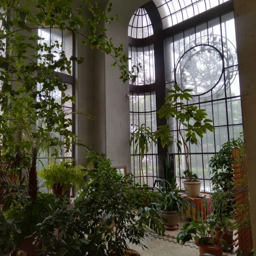 Балет, барон и революция: экскурсия по особняку Кшесинской