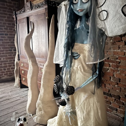 Индивидуально в Калининград: экскурсии, пикник на берегу и прогулка на катере