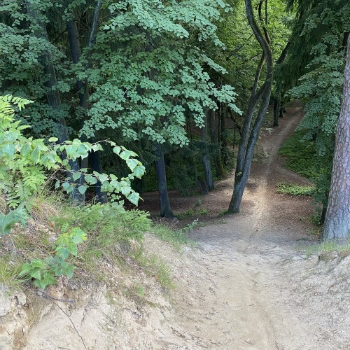 В гости к северным оленям + прогулка по Шуваловскому парку