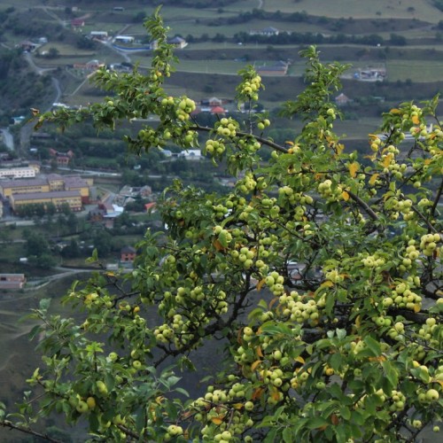 Таинство Ингушетии: треккинг налегке с восхождением на Столовую гору