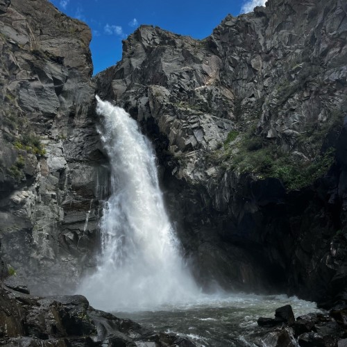 Лиловый наряд Алтая: путешествие по знаковым локациям и цветение маральника