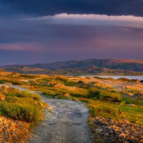 С фотографом на полуострова Рыбачий и Средний (в палатках): мастер-классы по съёмке океана и тундры
