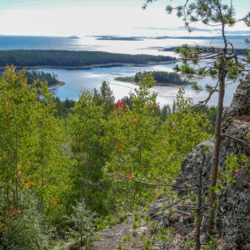 Путешествие-перезагрузка у Белого моря только для вас: природа Кандалакши и древний лабиринт