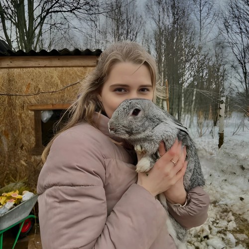 Оленья ферма в Чередовском заповеднике под Волоколамском