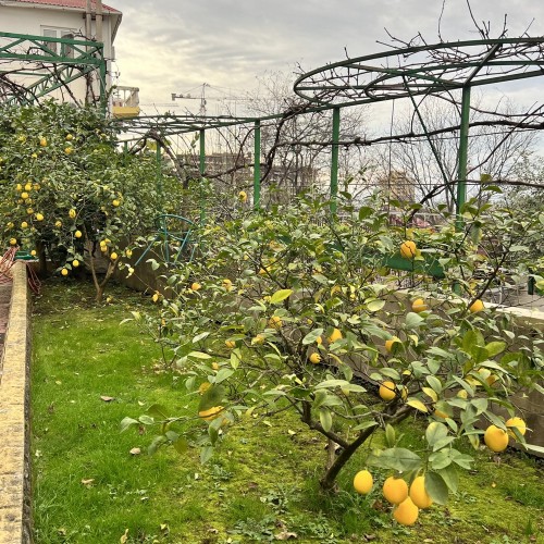 В гостях у винодела в Сочи (мини-группа)