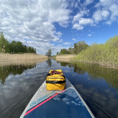 Выходные-перезагрузка на реке Луга: сплав на сапах в мини-группе (съёмка включена)