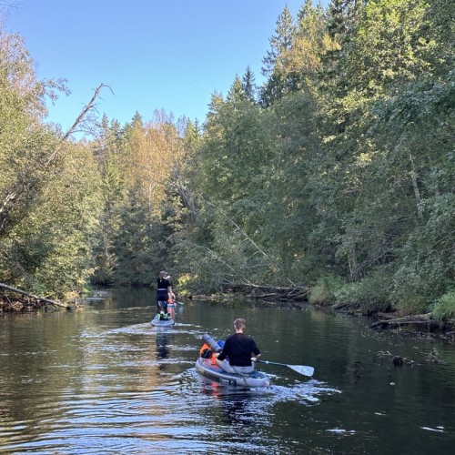 На сапбордах по реке Оредеж в мини-группе со съёмкой