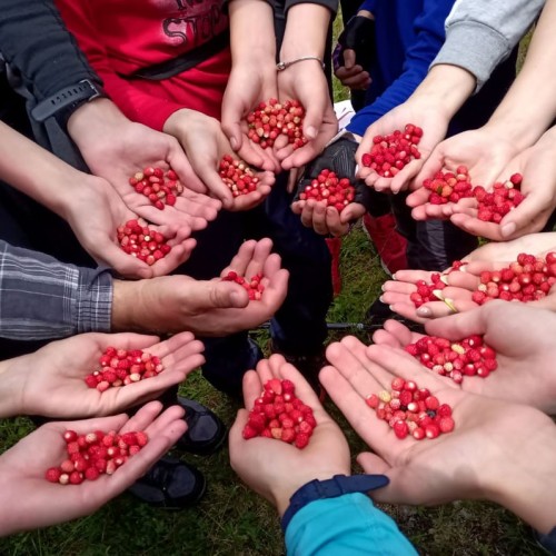 Треккинг в Цейском ущелье налегке с проживанием в гостинице (всё включено)
