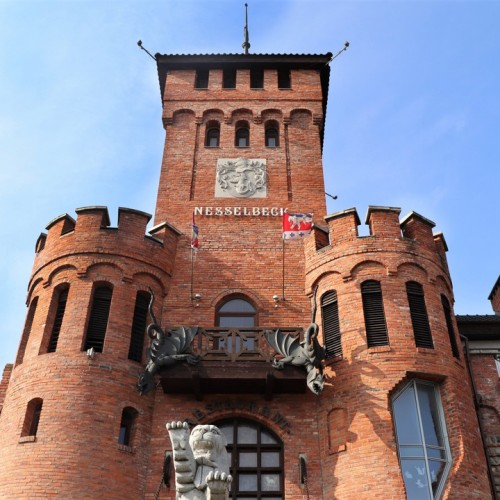 Замки, море и хомлины — лучшие места Калининградской области и дегустация на семейной сыроварне