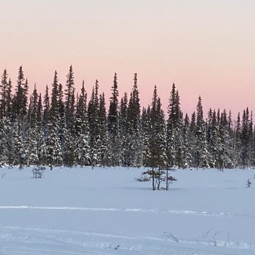 Приключения в Арктике в мини-группе: Териберка, Ловозеро, Хибины и Кировск с активностями