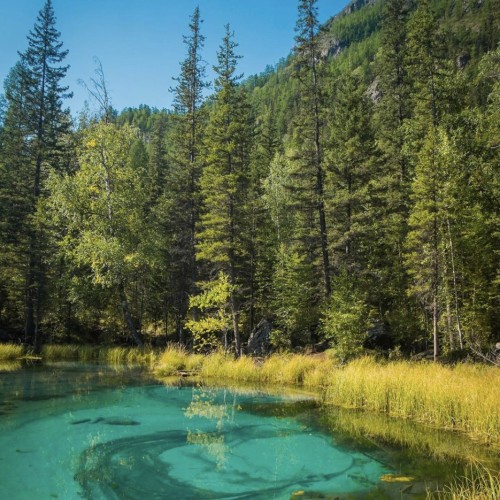 Знаковые места Чуйского и Чемальского трактов: главное в Горном Алтае