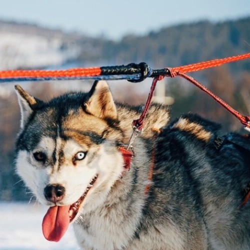 Зимние чудеса Байкала: отдых на курорте «Горячинск»