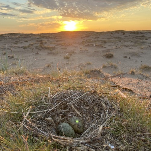 Индивидуальный джип-выезд по Терскому берегу в формате «всё включено»