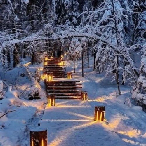 Карелия в белом наряде: зимняя сказка в Петрозаводске, Приладожье и парке «Рускеала»