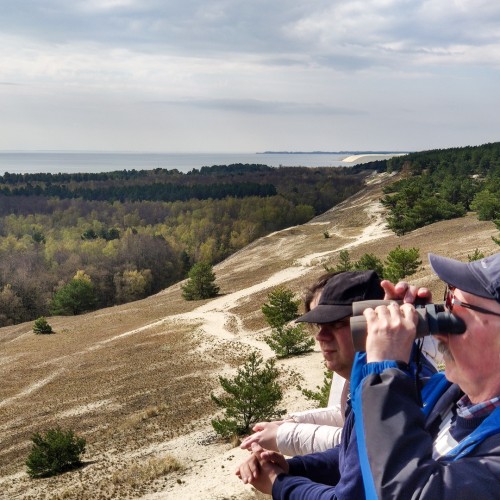 Первый раз в Калининград: истории знаковых мест и редко посещаемых локаций