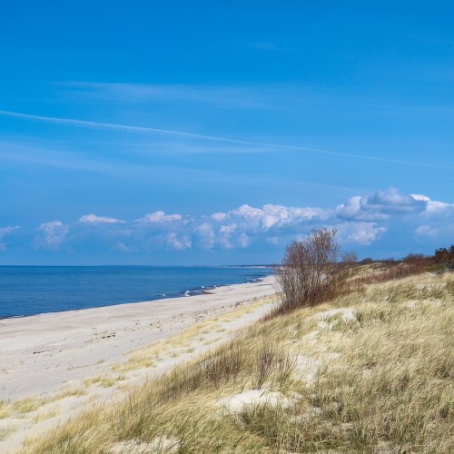 Первый раз в Калининград: истории знаковых мест и редко посещаемых локаций