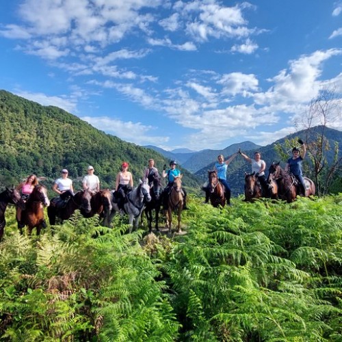 На лошадях по предгорьям Сочи: прогулки для новичков и опытных всадников