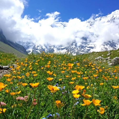 Треккинг налегке в Безенги с размещением в альплагере