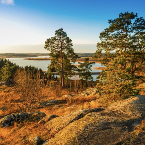 От каменного века до викингов, от Кижей до Рускеалы: индивидуально по Карелии