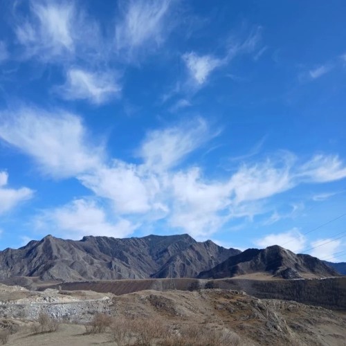 Алтай в цвету: маральник и Чуйский тракт — из Горно-Алтайска