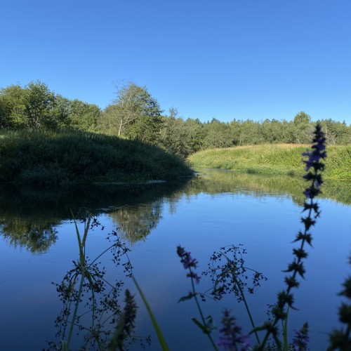 Выходные-перезагрузка на реке Шерне: сплав на байдарках (всё включено)